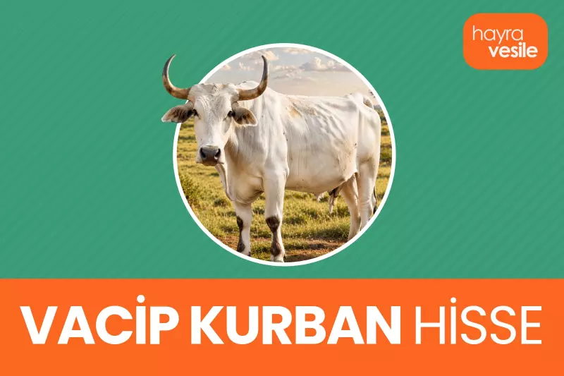 Vacip Kurban Hisse